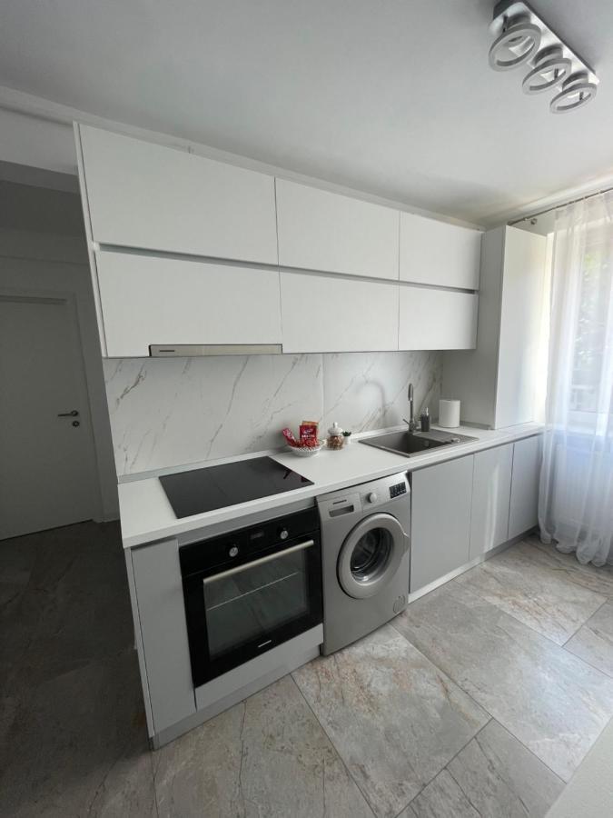 Luxury Apartment シビウ エクステリア 写真